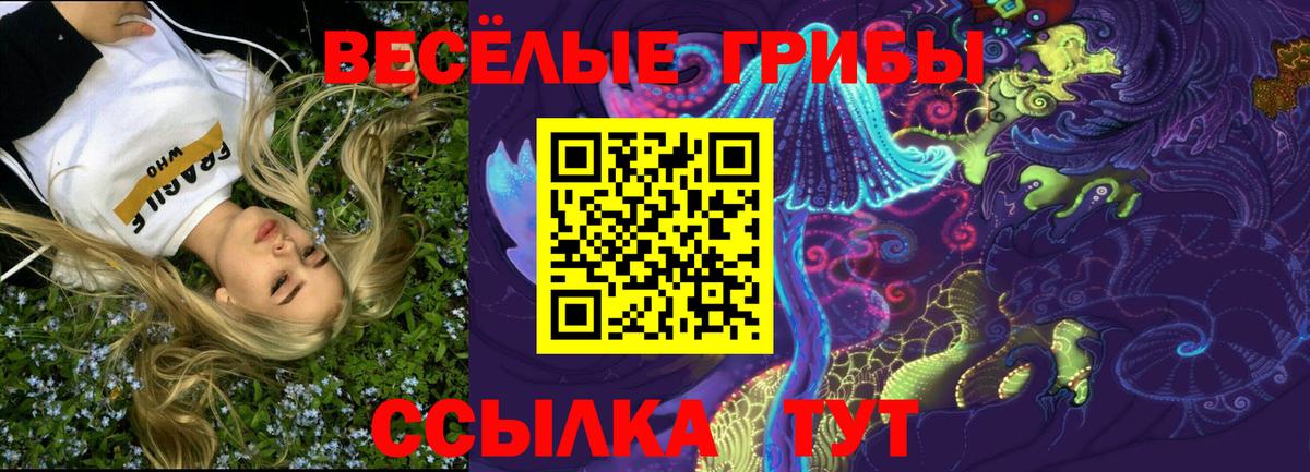 Псилоцибиновые грибы Psilocybine cubensis Урай